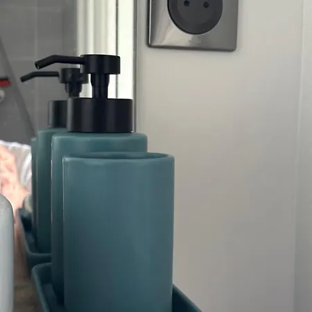 Joli Avec Superbe Vue Sur Le Du Bourget Lägenhet